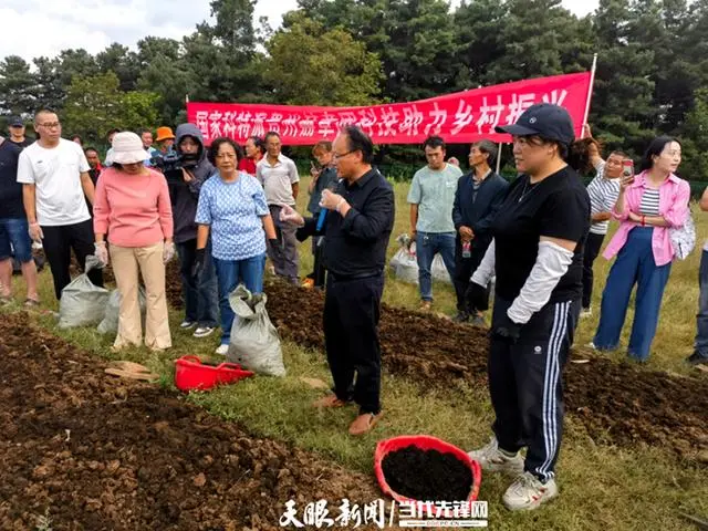 蚯蚓养鸡的养殖方法_视频养殖蚯蚓鸡技术大全_蚯蚓鸡养殖技术视频