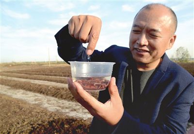 视频养殖蚯蚓鸡技术教程_蚯蚓鸡养殖技术视频_视频养殖蚯蚓鸡技术大全