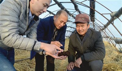 视频养殖蚯蚓鸡技术大全_视频养殖蚯蚓鸡技术教程_蚯蚓鸡养殖技术视频