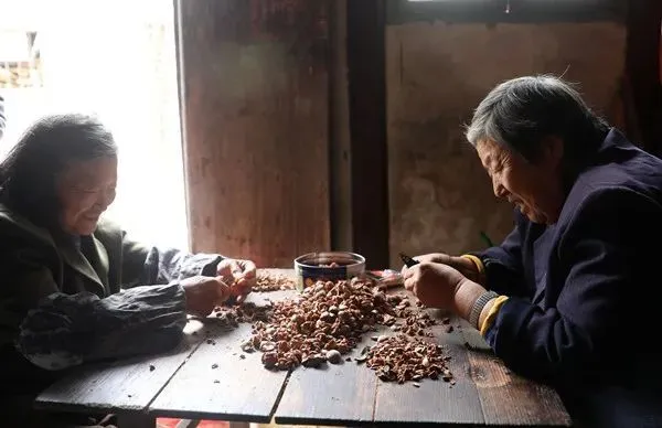 种植核桃增收致富_致富核桃增收种植视频_核桃致富经