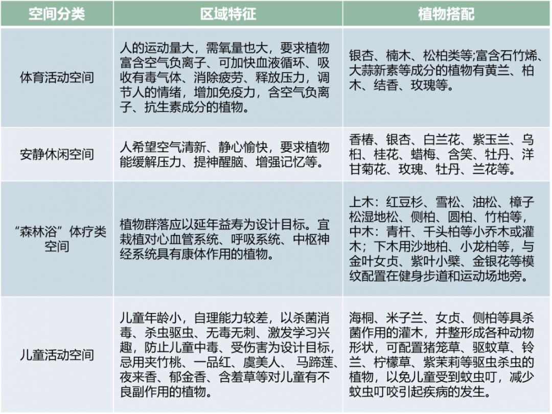 唐菖蒲种子种植技术_唐菖蒲种子图片_唐菖蒲的种子什么时候采收