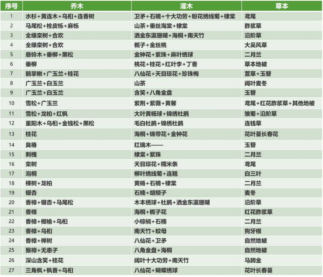 唐菖蒲种子种植技术_唐菖蒲的种子什么时候采收_唐菖蒲种子图片