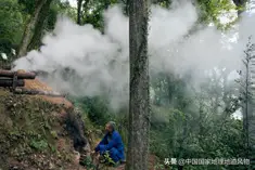 种植香菇新技术_科技苑香菇种植技术_科技苑香菇种植技术视频播放