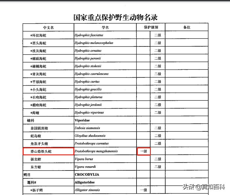 养殖银环蛇技术方法_银环蛇的养殖技术_养殖银环蛇技术要求