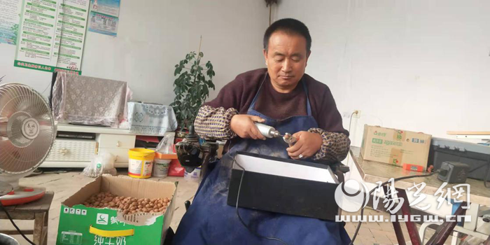 致富核桃种植技术视频_致富核桃种植方法_致富经核桃的种植