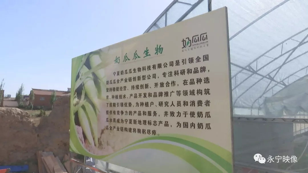 瓜瓜种植技术讲解_讲解种植瓜瓜技术视频_讲解种植瓜瓜技术教案