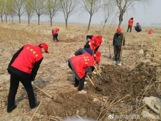 致富经高产藕种植视频_种植莲藕效益怎么样_小伙种植莲藕有高招致富经