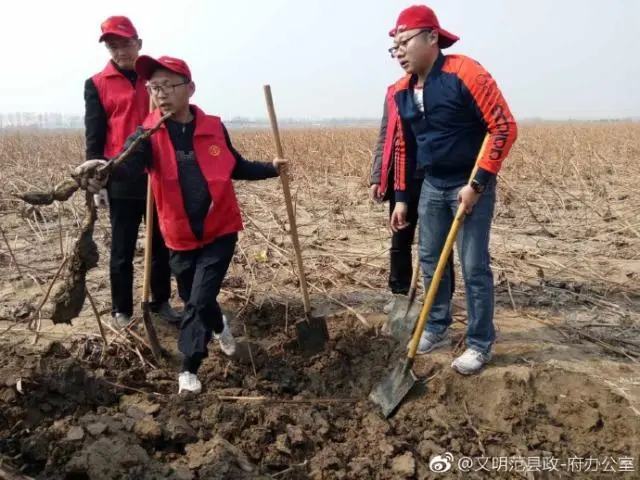 致富经高产藕种植视频_小伙种植莲藕有高招致富经_种植莲藕效益怎么样