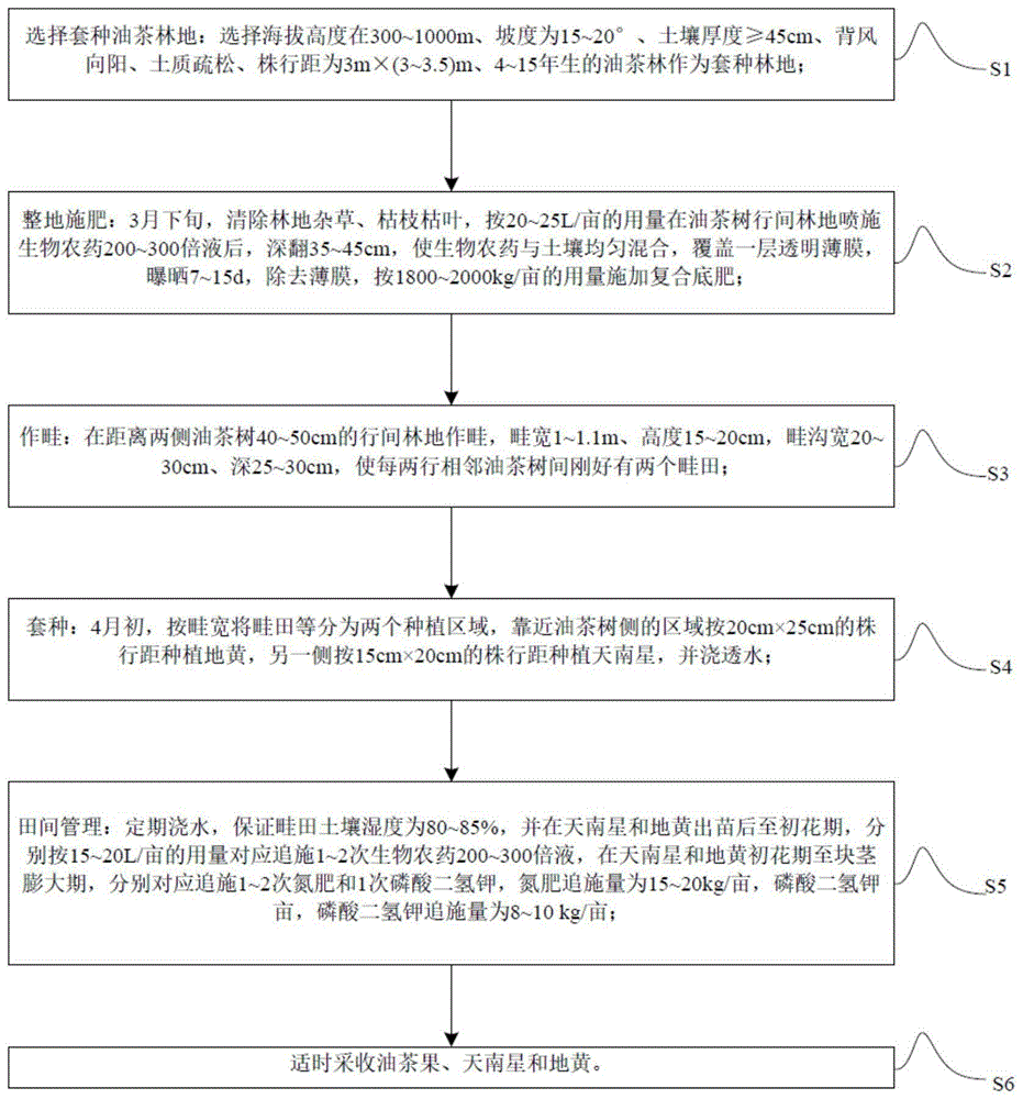 一种油茶的套种方法与流程