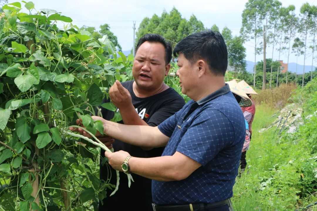 退役军人返乡创业，瓜果种植蹚出“致富路”