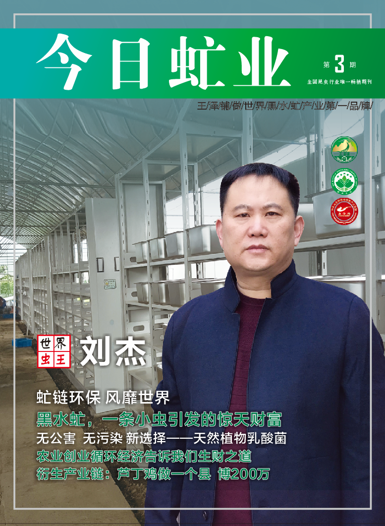 食用水虻的养殖技术_虻虫人工养殖_水虻养殖视频