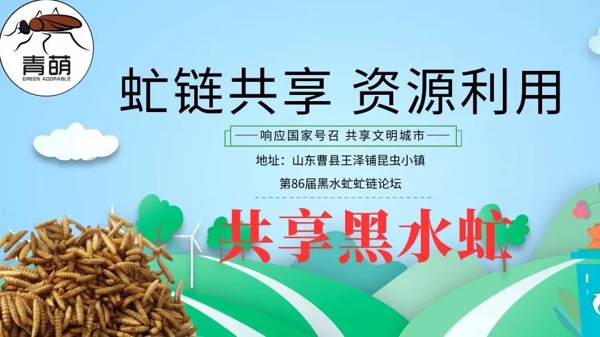虻虫人工养殖_食用水虻的养殖技术_水虻养殖视频