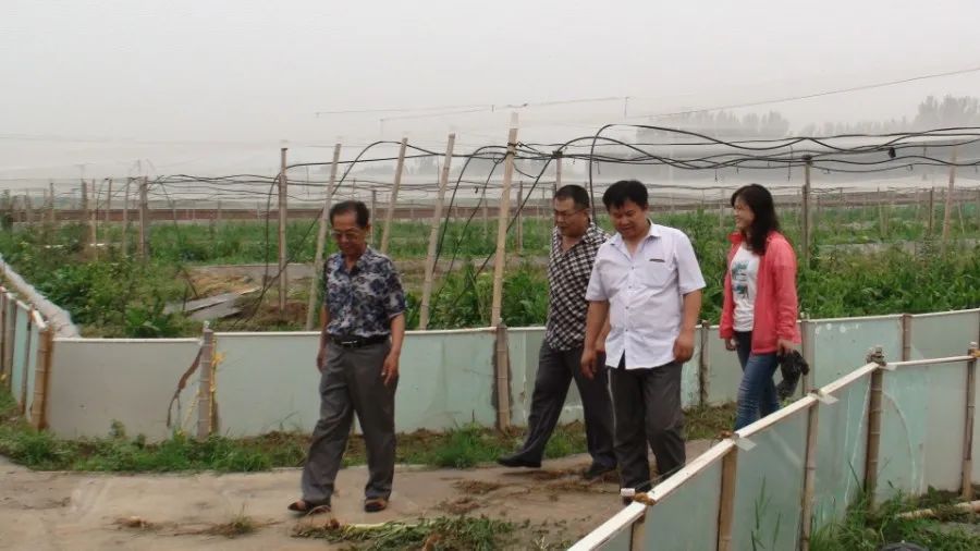 虻虫人工养殖_食用水虻的养殖技术_水虻养殖视频