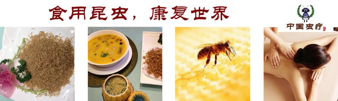 食用水虻的养殖技术_虻虫人工养殖_水虻养殖视频