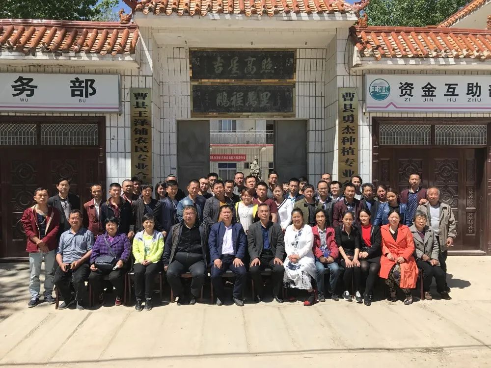 食用水虻的养殖技术_水虻养殖视频_虻虫人工养殖