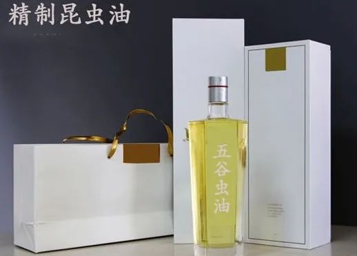 虻虫人工养殖_食用水虻的养殖技术_水虻养殖视频