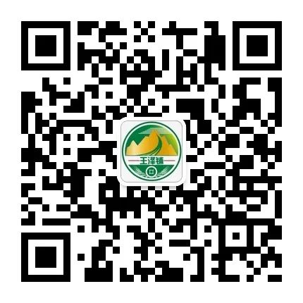水虻养殖视频_食用水虻的养殖技术_虻虫人工养殖