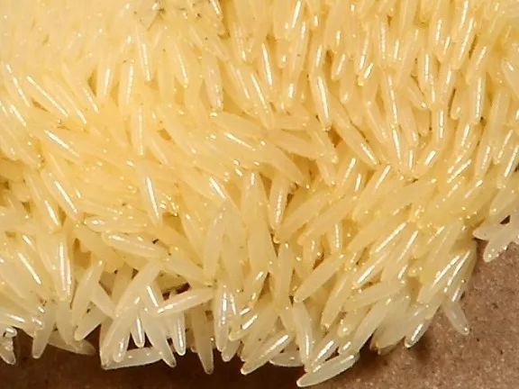 虻虫人工养殖_水虻养殖视频_食用水虻的养殖技术