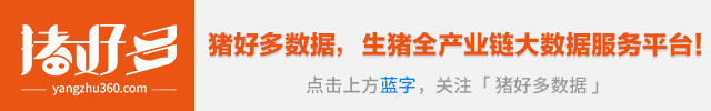 致富经金华猪养殖_金华猪养殖技术要点_金华猪养殖基地