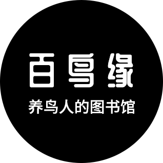 全方面分享柳莺换食、配食及饲养经验 成功率95%