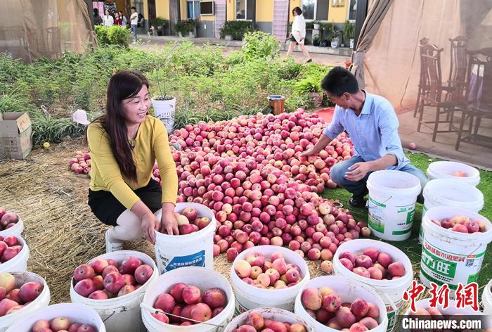 致富经山羊养殖视频_小山头养殖致富项目视频_致富经山上养鸡视频