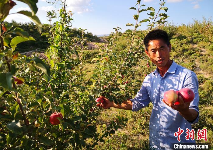 小山头养殖致富项目视频_致富经山羊养殖视频_致富经山上养鸡视频