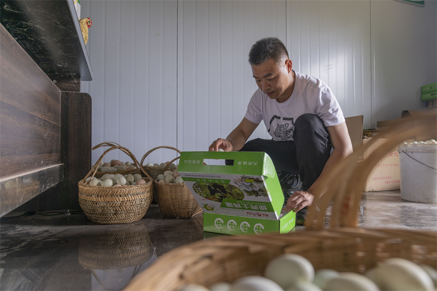 山区养殖什么致富项目_小山头养殖致富项目视频_致富经山上养鸡视频