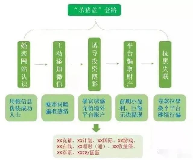 致富经猪_视频致富经_致富经猪视频播放