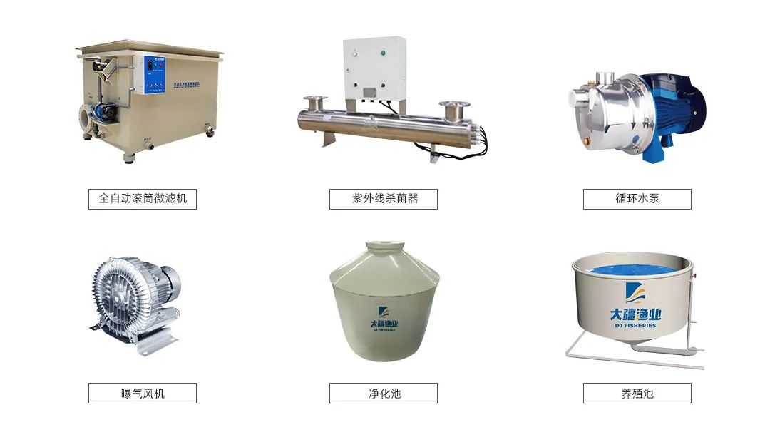 养殖高密度网箱技术要求_网箱 高密度养殖技术_网箱高密度养殖草鱼