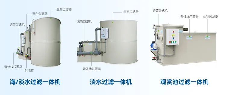 养殖高密度网箱技术要求_网箱 高密度养殖技术_高密度网箱养鱼技术