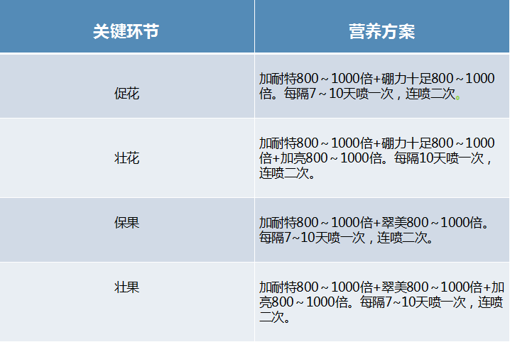 种植荔枝需要什么条件_荔枝种植技术书籍_种植荔枝的技术视频