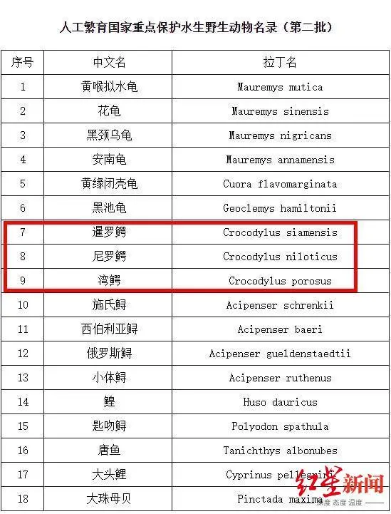 国内宠物养殖致富_致富养殖业_致富养殖宠物国内现状