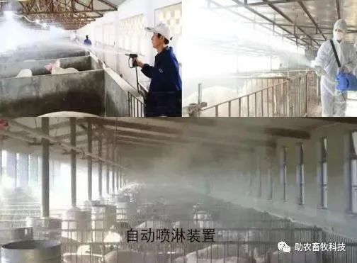 网箱 高密度养殖技术_养殖高密度网箱技术规范_高密度网箱养鱼技术