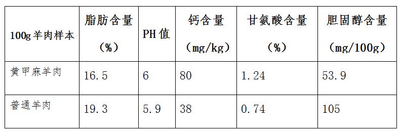 格2.jpg