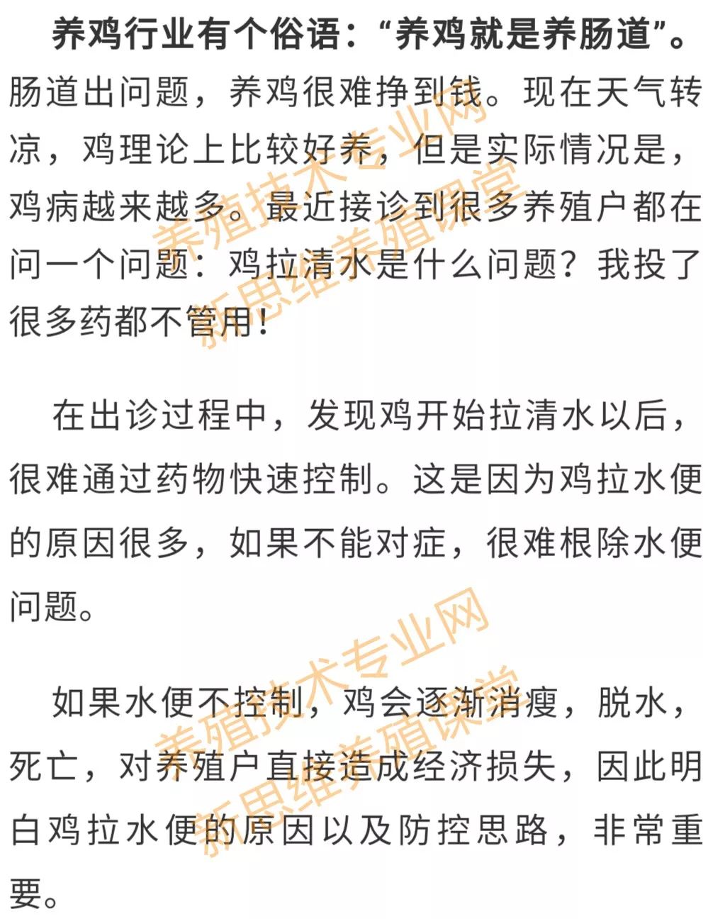 视频养殖鸡技术视频教程_鸡的养殖技术视频_视频养殖鸡技术大全