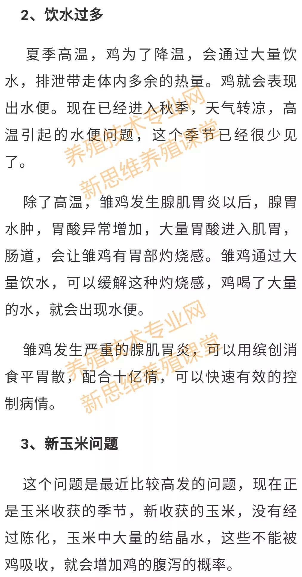 鸡的养殖技术视频_视频养殖鸡技术大全_视频养殖鸡技术视频教程