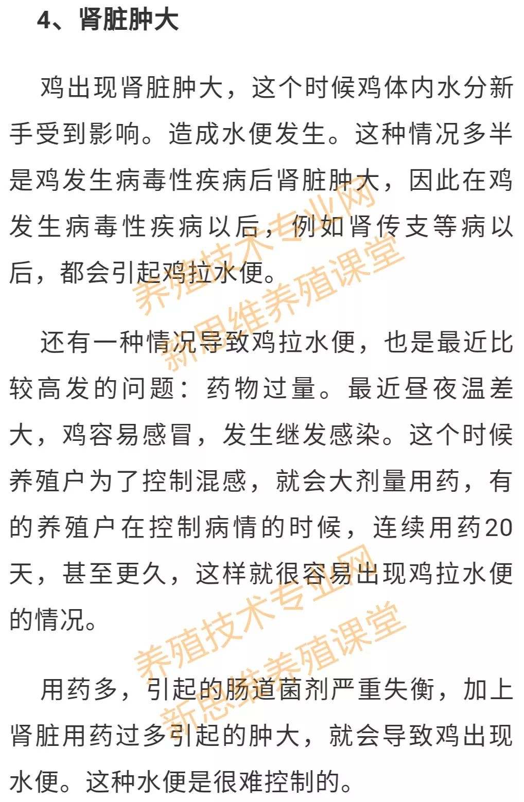 鸡的养殖技术视频_视频养殖鸡技术视频教程_视频养殖鸡技术大全