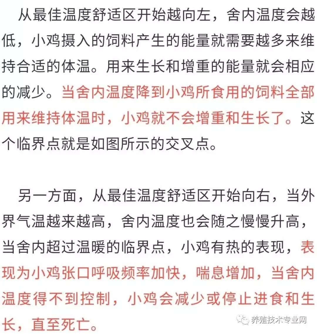 鸡的养殖技术视频_视频养殖鸡技术大全_视频养殖鸡技术视频教程