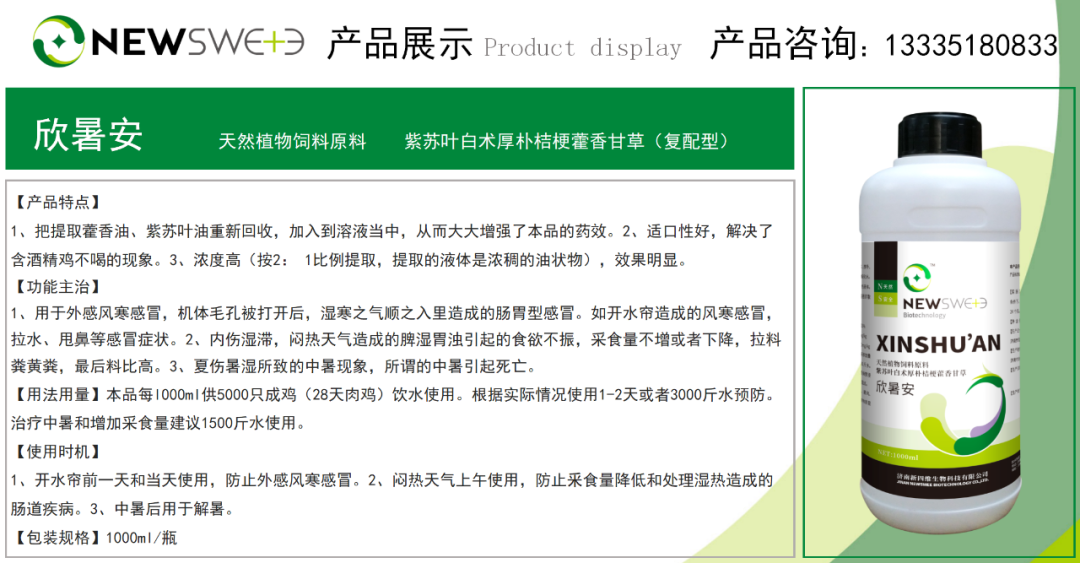 鸡的养殖技术视频_视频养殖鸡技术视频教程_视频养殖鸡技术大全