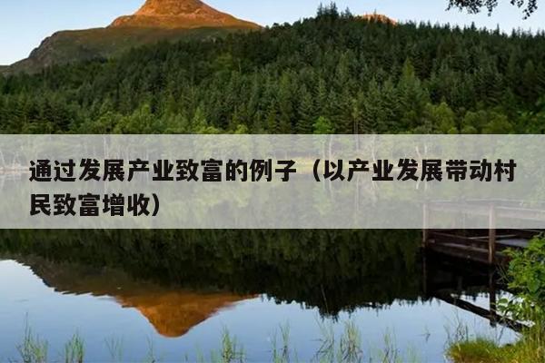 通过发展产业致富的例子（以产业发展带动村民致富增收）