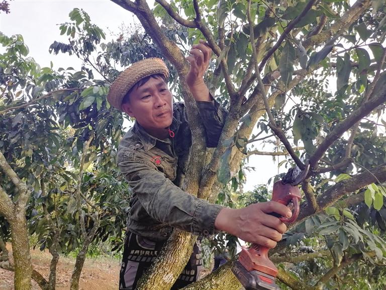 红色土地种植致富_致富种植红色土地图片_红色土地适合种植什么