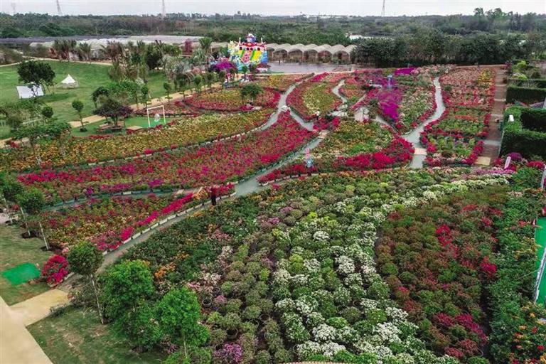 红色土地适合种植什么_致富种植红色土地图片_红色土地种植致富