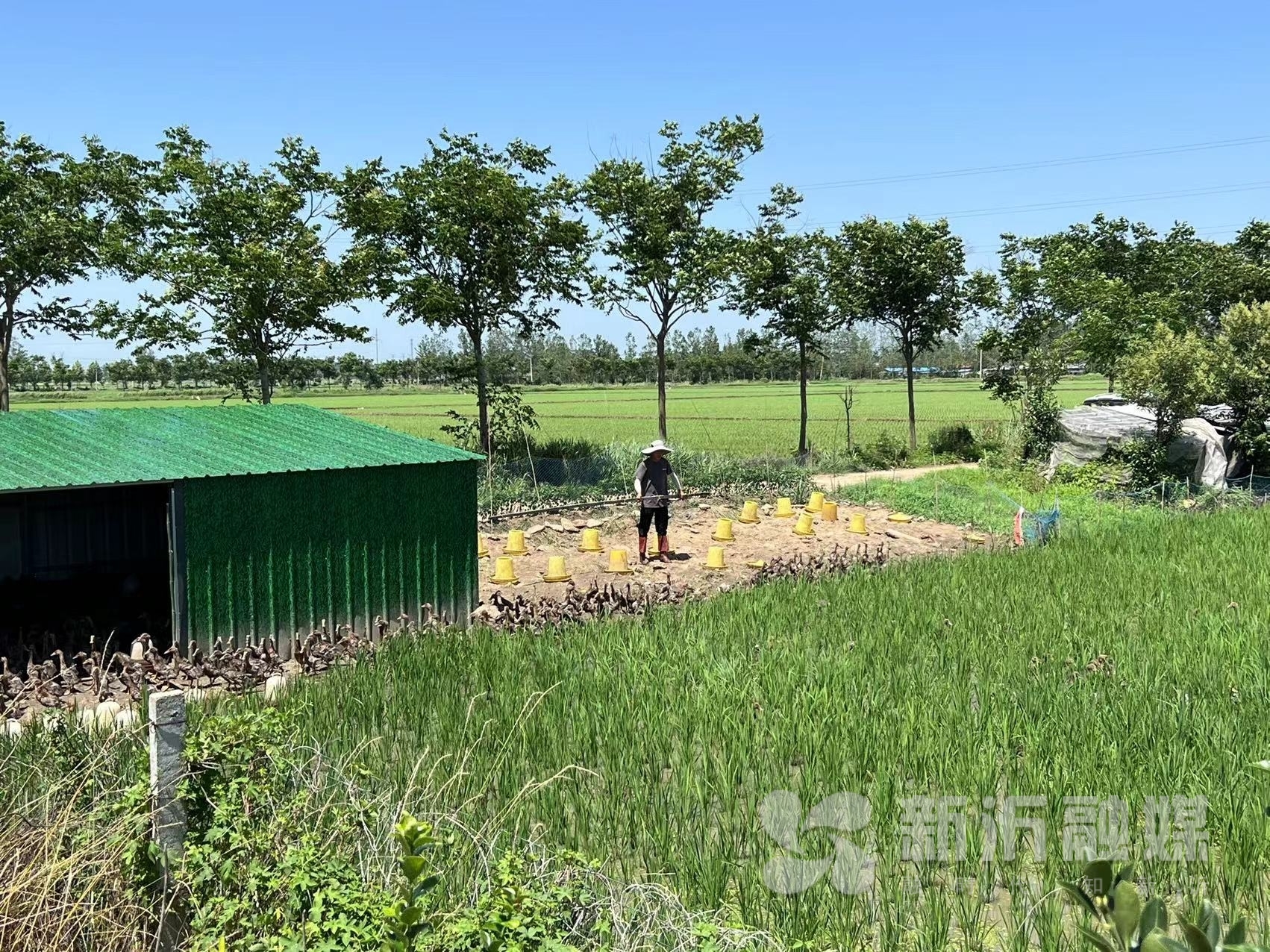 致富养殖军事项目是什么_养殖致富项目 军事_致富养殖军事项目有哪些