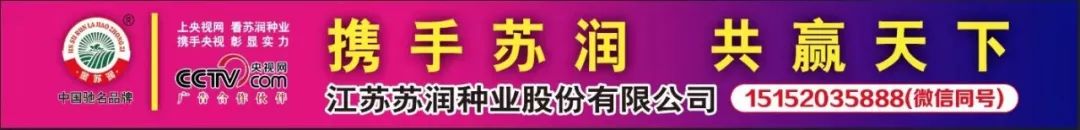 “土专家”发明种植新技术，节本增效20%！全国适用