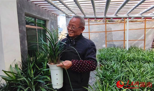 惠兰种植致富_种植惠兰视频_致富种植惠兰好吗