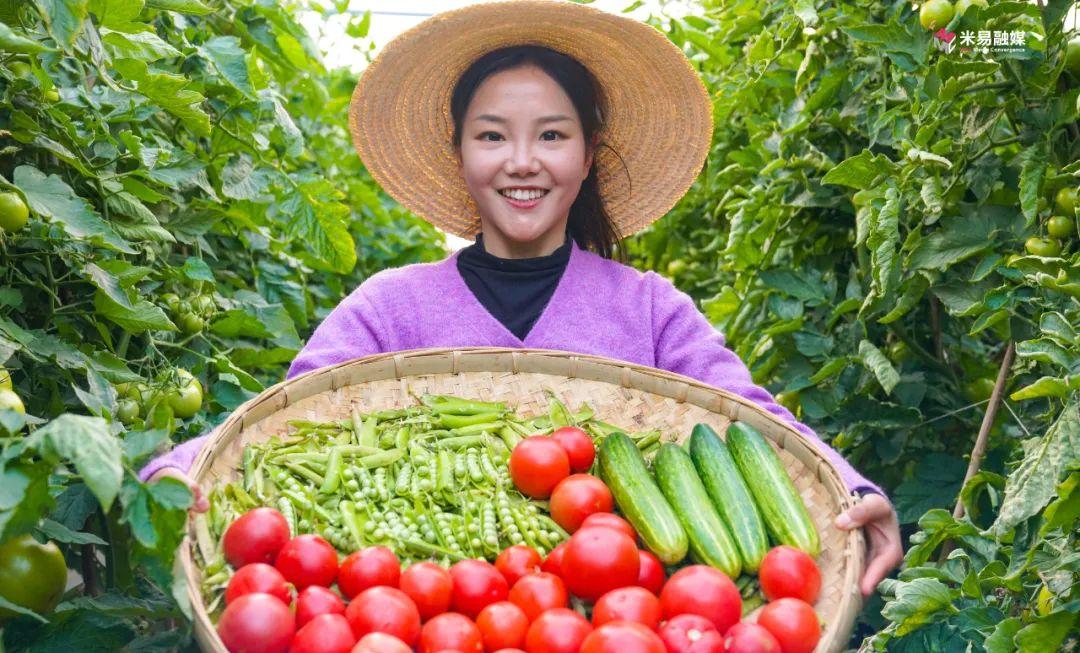 米易县蔬菜种植乡镇_米易农户种植蔬菜致富_米易蔬菜基地