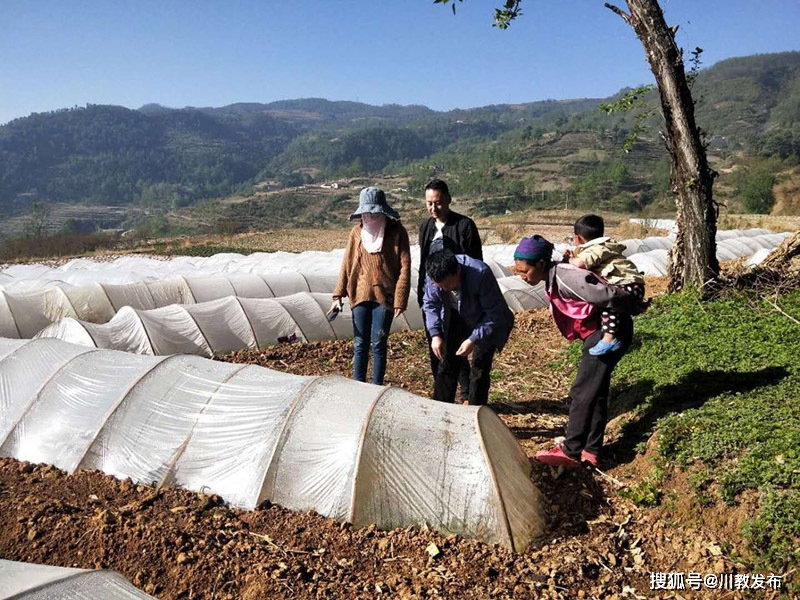 致富经远走他乡种香菇_农广天地种植香菇视频_致富经香菇赚千万