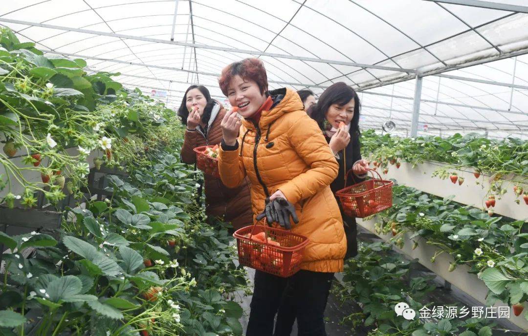 广西种植致富名人_广西致富能人_广西种植什么最赚钱