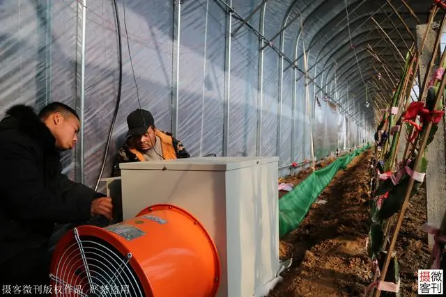 广西种植什么最赚钱_广西种植致富名人_广西种植大户名单