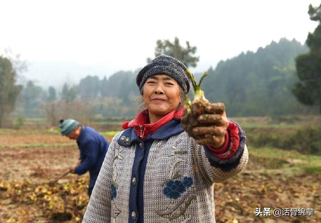 泽泻种植前景_种植泽泻怎么除草_种植泽泻 致富增收